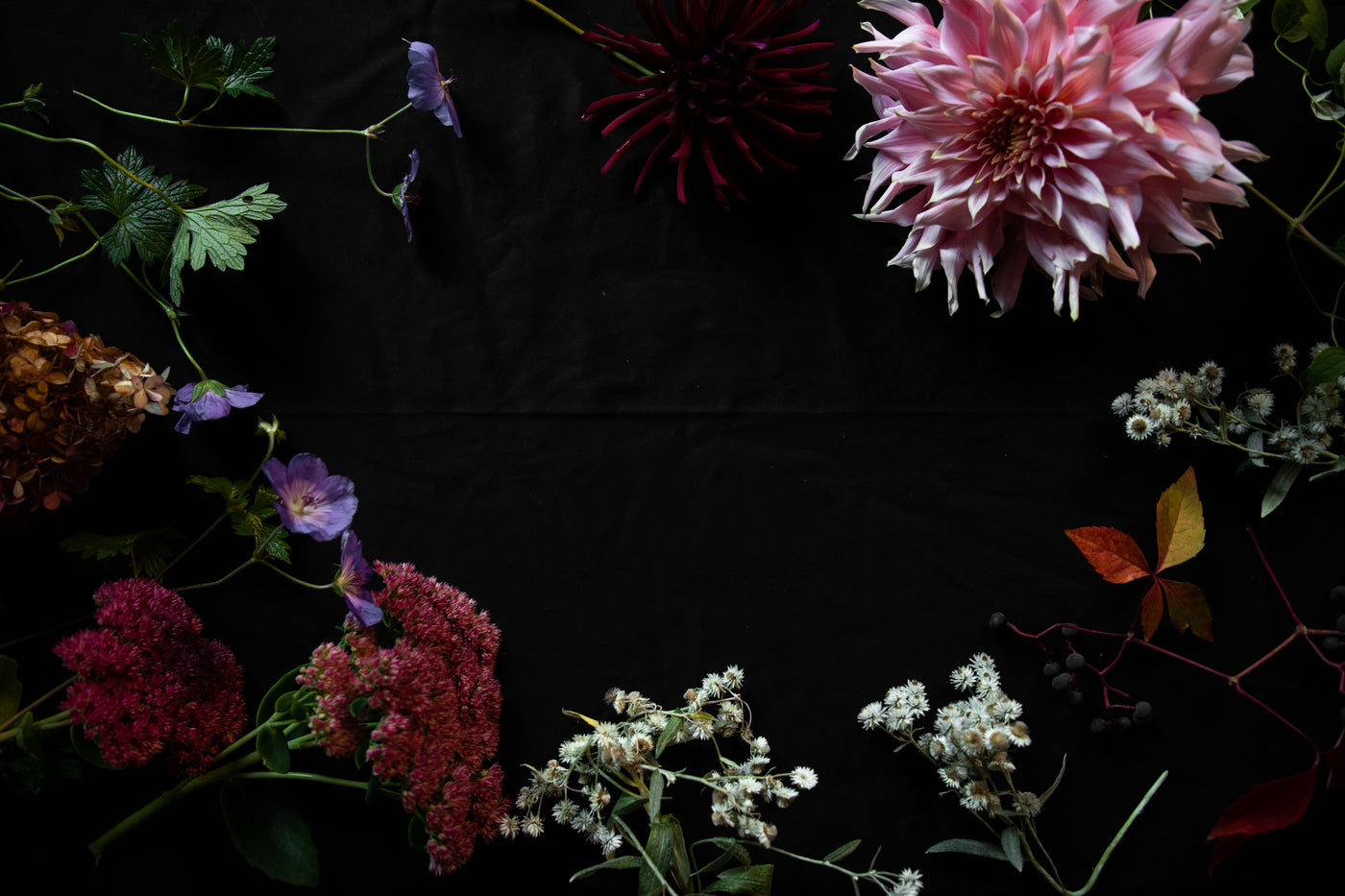 Säsongens sista blomsterbuketter från trädgården: Dahlia, kärleksört och hortensia